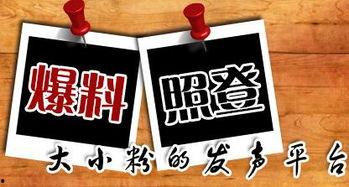 看新闻爆料的地方,揭秘爆料背后的真相